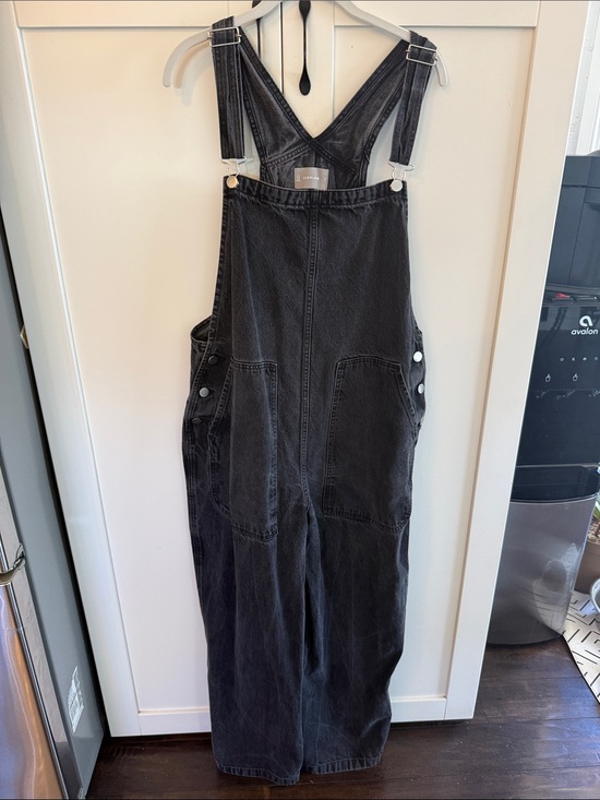 Everlane Pants - Everlane Gardener Black Denim Overalls